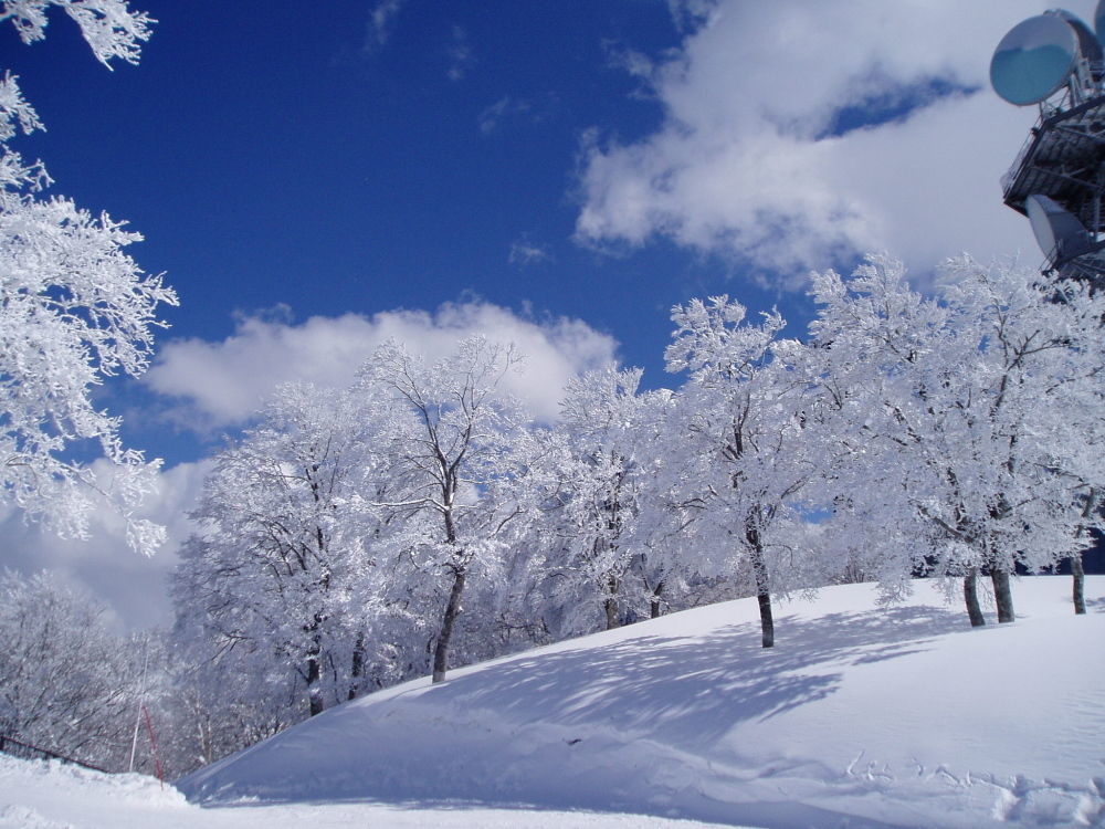 Lodge Matsuya Нодзава-Онсен Екстер'єр фото