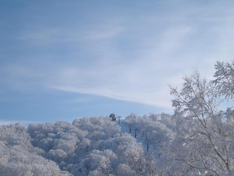 Lodge Matsuya Нодзава-Онсен Екстер'єр фото