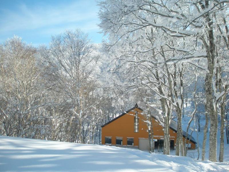 Lodge Matsuya Нодзава-Онсен Екстер'єр фото