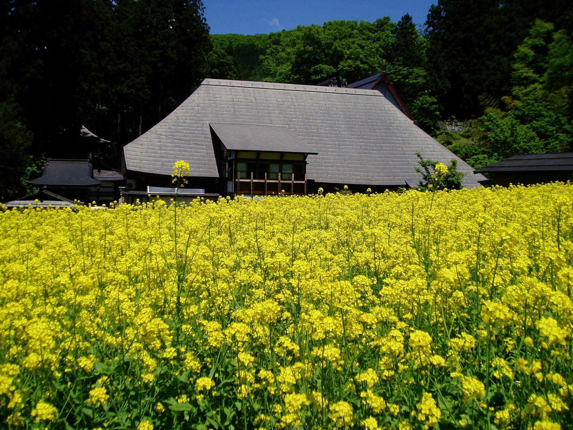 Lodge Matsuya Нодзава-Онсен Екстер'єр фото